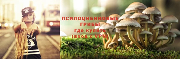 МДПВ Алексин
