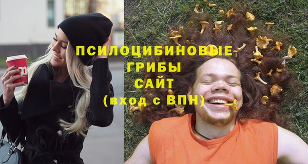 твердый Алзамай