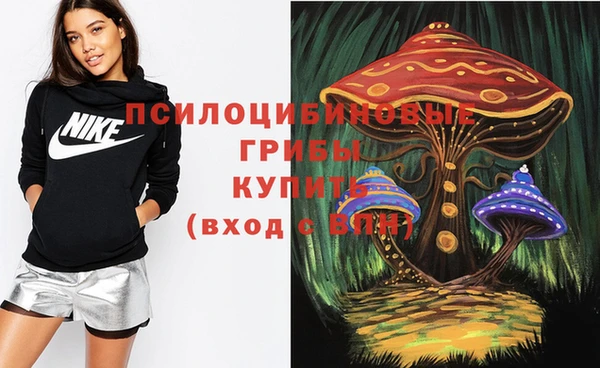 гидра Дмитров