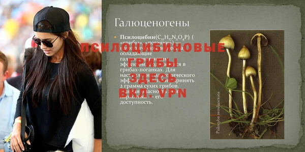 дмт Алексеевка