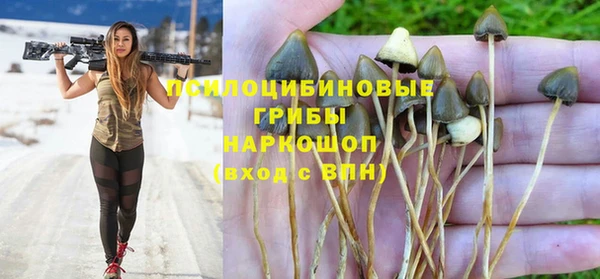 дмт Алексеевка