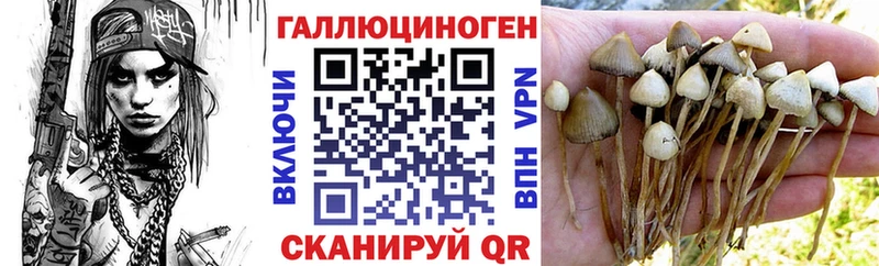 Галлюциногенные грибы Cubensis  даркнет сайт  Дмитров 